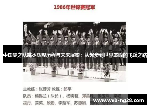 中国梦之队跳水辉煌历程与未来展望：从起步到世界巅峰的飞跃之路